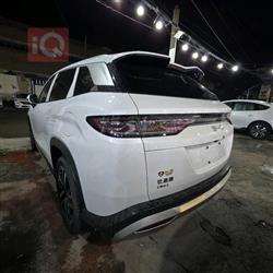 بي واي دي سونغ L DM-i